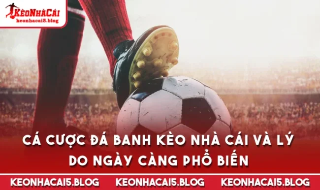 Cá Cược Đá Banh Kèo Nhà Cái Và Lý Do Ngày Càng Phổ Biến