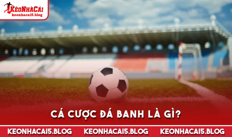 ca cuoc da banh la gi Cá cược đá banh là gì?