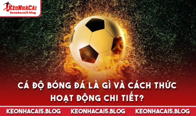 Cá Độ Bóng Đá Là Gì Và Cách Thức Hoạt Động Chi Tiết?