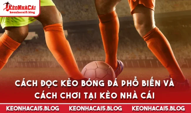 Cách Đọc Kèo Bóng Đá Phổ Biến Và Cách Chơi Tại Kèo Nhà Cái