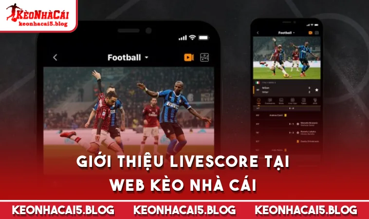 Giới thiệu Livescore tại web Kèo Nhà Cái