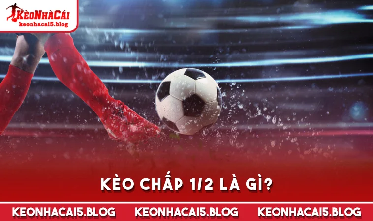 keo chap 1 2 la gi Kèo chấp 1/2 là gì?