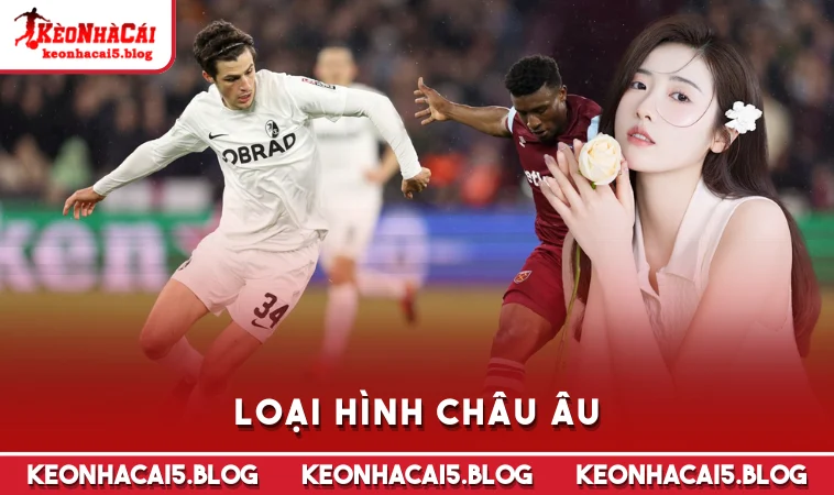 loai hinh chau au Loại hình châu Âu