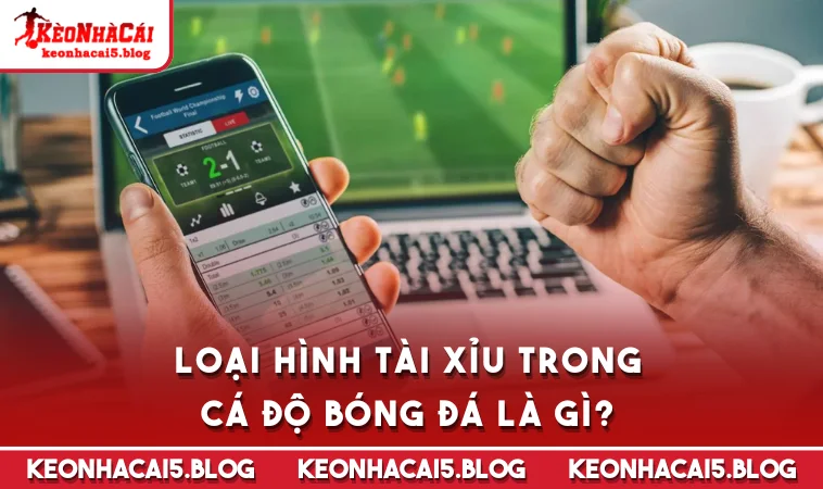 loai hinh tai xiu trong ca do bong da la gi Loại hình tài xỉu trong cá độ bóng đá là gì?