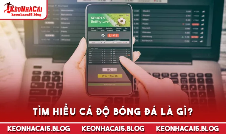 tim hieu ca do bong da la gi Tìm hiểu cá độ bóng đá là gì?