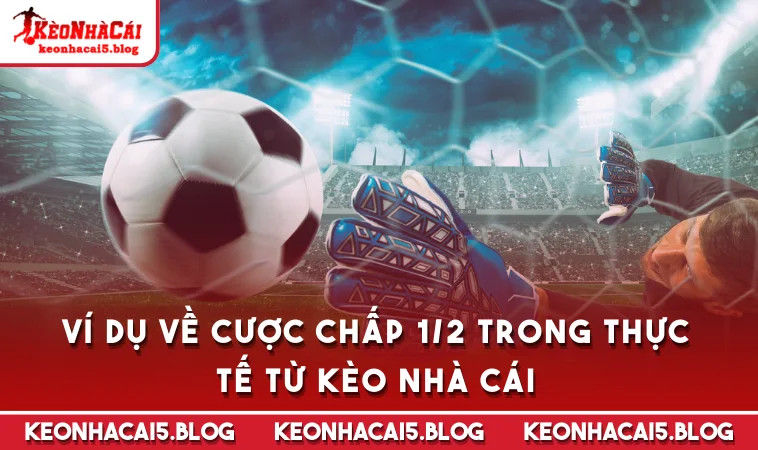 vi du ve cuoc chap 1 2 trong thuc te tu keo nha cai Ví dụ về cược chấp 1/2 trong thực tế từ Kèo Nhà Cái